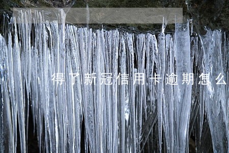 得了新冠信用卡逾期怎么办 得了新冠信用卡逾期怎么办