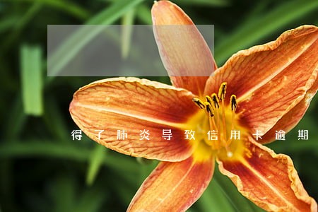 得了肺炎导致信用卡逾期