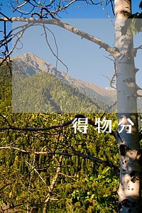 得物分期逾期了20天会怎么办 得物分期逾期了20天会怎么办