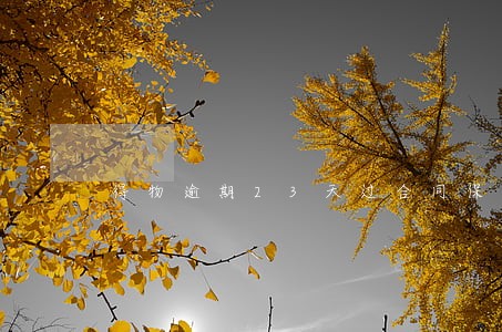 得物逾期23天过合同保护期 得物逾期23天过合同保护期