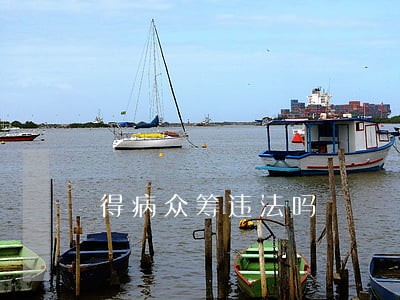 得病众筹违法吗 得病众筹违法吗