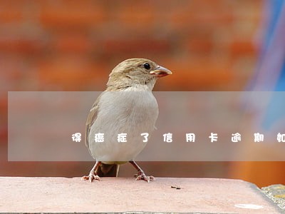 得癌症了信用卡逾期如何去协商 得癌症了信用卡逾期如何去协商