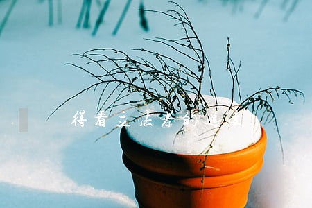 得看立法者的进度 得看立法者的进度