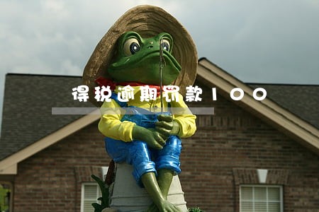 得税逾期罚款100