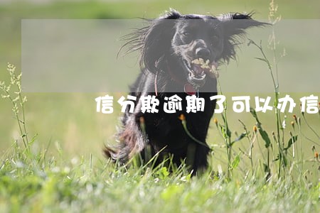 徢信分欺逾期了可以办信用卡吗