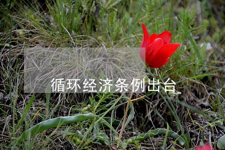 循环经济条例出台 循环经济条例出台