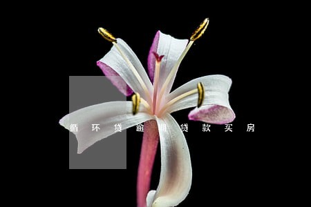 循环贷逾期贷款买房 循环贷逾期贷款买房