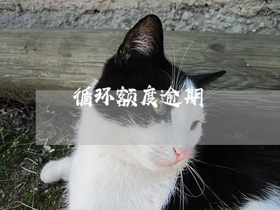 循环额度逾期 循环额度逾期