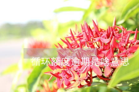 循环额度逾期是啥意思 循环额度逾期是啥意思