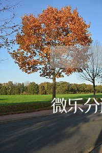 微乐分逾期1天会怎么样 微乐分逾期1天会怎么样