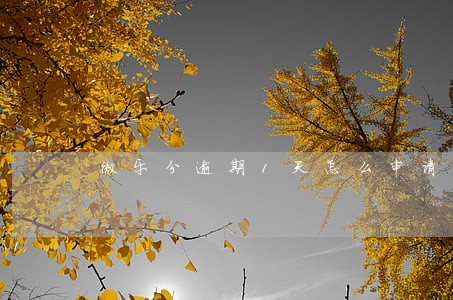 微乐分逾期1天怎么申请不过 微乐分逾期1天怎么申请不过