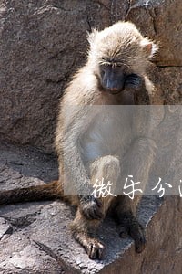 微乐分逾期3个月立案 微乐分逾期3个月立案