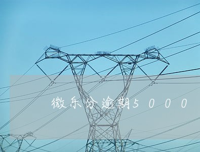 微乐分逾期5000 微乐分逾期5000