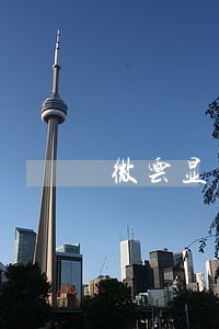 微云显示可能违反法规或协议 微云显示可能违反法规或协议