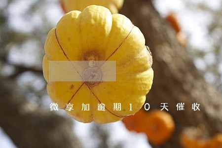 微享加逾期10天催收 微享加逾期10天催收