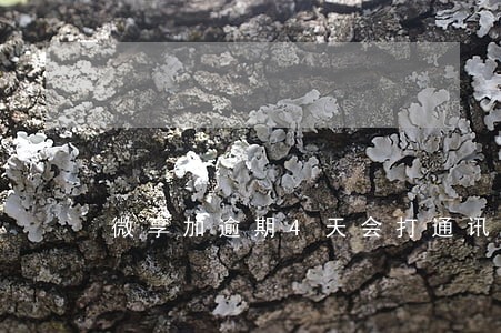 微享加逾期4天会打通讯录吗 微享加逾期4天会打通讯录吗