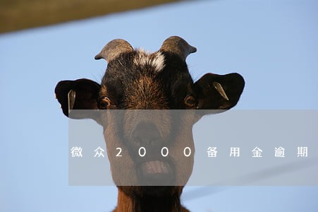 微众2000备用金逾期会怎么样 微众2000备用金逾期会怎么样