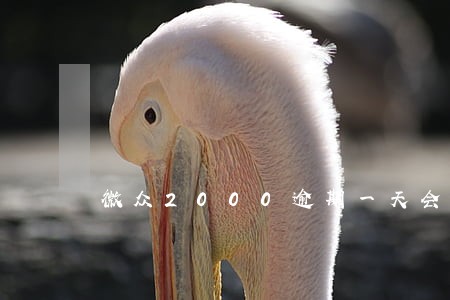 微众2000逾期一天会怎样 微众2000逾期一天会怎样