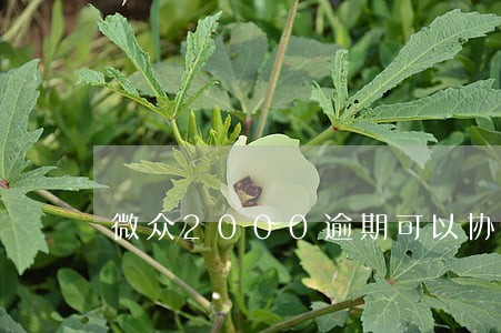 微众2000逾期可以协商吗 微众2000逾期可以协商吗