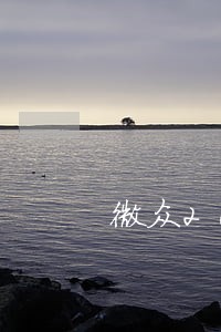 微众2000逾期有上门案例吗 微众2000逾期有上门案例吗