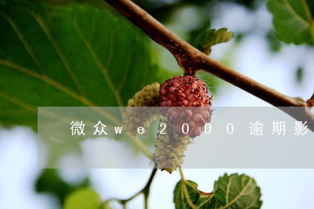 微众we2000逾期影响分付吗 微众we2000逾期影响分付吗