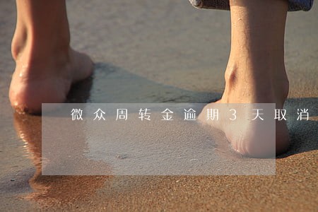 微众周转金逾期3天取消分期