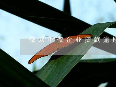 微众小微企业贷款逾期 微众小微企业贷款逾期