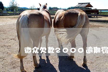 微众欠款2000逾期罚款高不高 微众欠款2000逾期罚款高不高