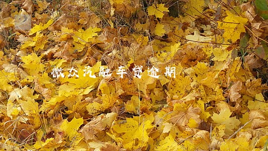 微众汽融车贷逾期 微众汽融车贷逾期