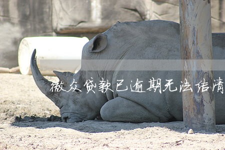 微众贷款已逾期无法结清 微众贷款已逾期无法结清