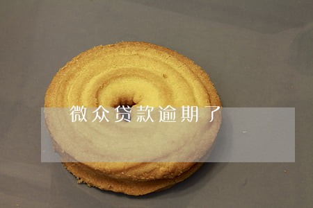 微众贷款逾期了 微众贷款逾期了