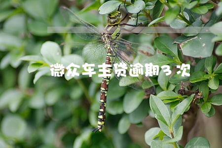 微众车主贷逾期3次 微众车主贷逾期3次