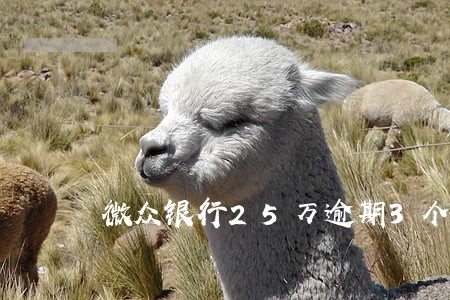 微众银行25万逾期3个月 微众银行25万逾期3个月