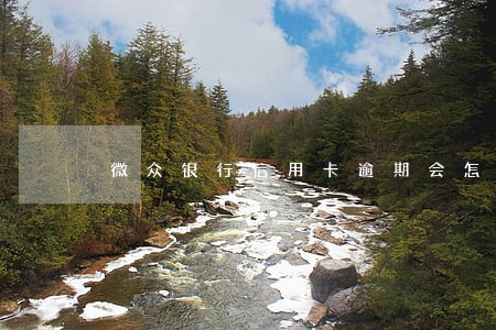 微众银行信用卡逾期会怎样 微众银行信用卡逾期会怎样