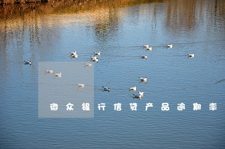 微众银行信贷产品逾期率 微众银行信贷产品逾期率