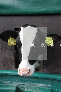 微众银行周转金逾期7天 微众银行周转金逾期7天