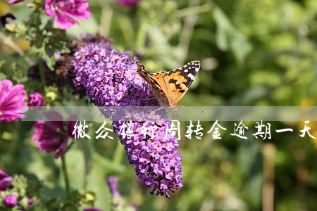 微众银行周转金逾期一天 微众银行周转金逾期一天