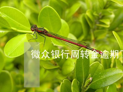微众银行周转金逾期了怎么协商 微众银行周转金逾期了怎么协商