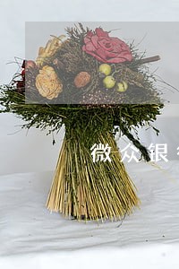 微众银行周转金逾期十天 微众银行周转金逾期十天