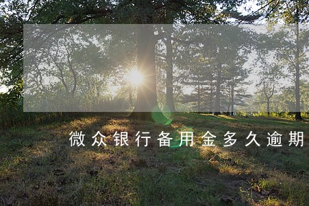 微众银行备用金多久逾期 微众银行备用金多久逾期