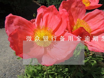微众银行备用金逾期怎么办 微众银行备用金逾期怎么办