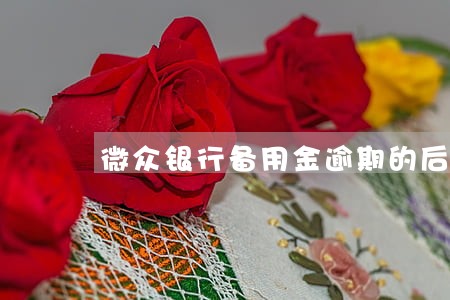 微众银行备用金逾期的后果