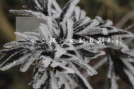微众银行定制逾期彩铃 微众银行定制逾期彩铃