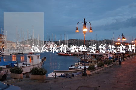 微众银行微粒贷贷款逾期 微众银行微粒贷贷款逾期
