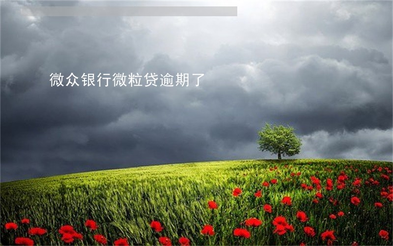 微众银行微粒贷逾期了 微众银行微粒贷逾期了
