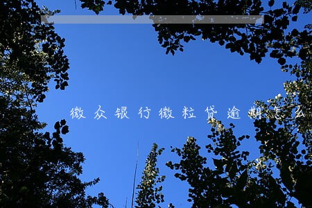 微众银行微粒贷逾期怎么处理 微众银行微粒贷逾期怎么处理
