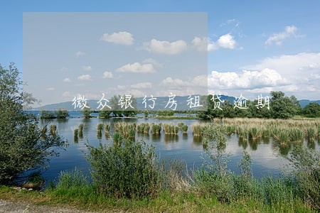 微众银行房租贷逾期 微众银行房租贷逾期