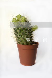 微众银行欠款逾期怎么办 微众银行欠款逾期怎么办