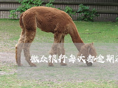 微众银行每次都逾期还款会怎么样 微众银行每次都逾期还款会怎么样