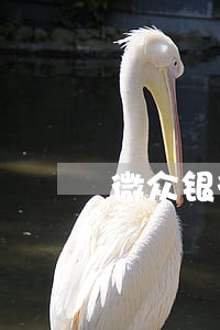 微众银行贷款逾期3年 微众银行贷款逾期3年